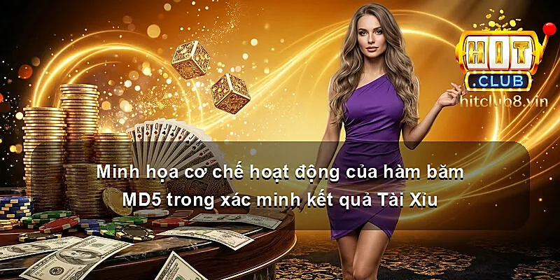 Minh họa cơ chế hoạt động của hàm băm MD5 trong xác minh kết quả Tài Xỉu
