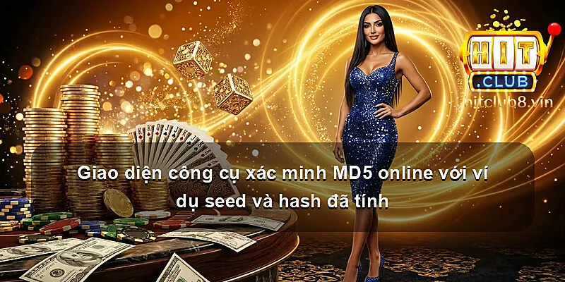 Giao diện công cụ xác minh MD5 online với ví dụ seed và hash đã tính